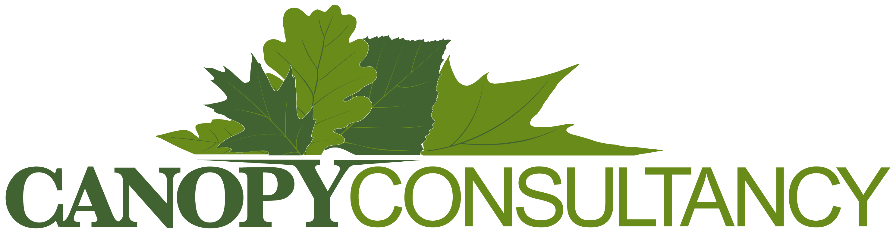Canopy Consultancy Logo