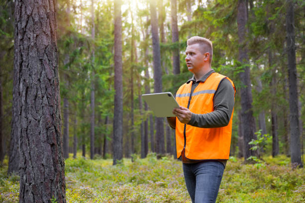 Purchasing Land In Surrey