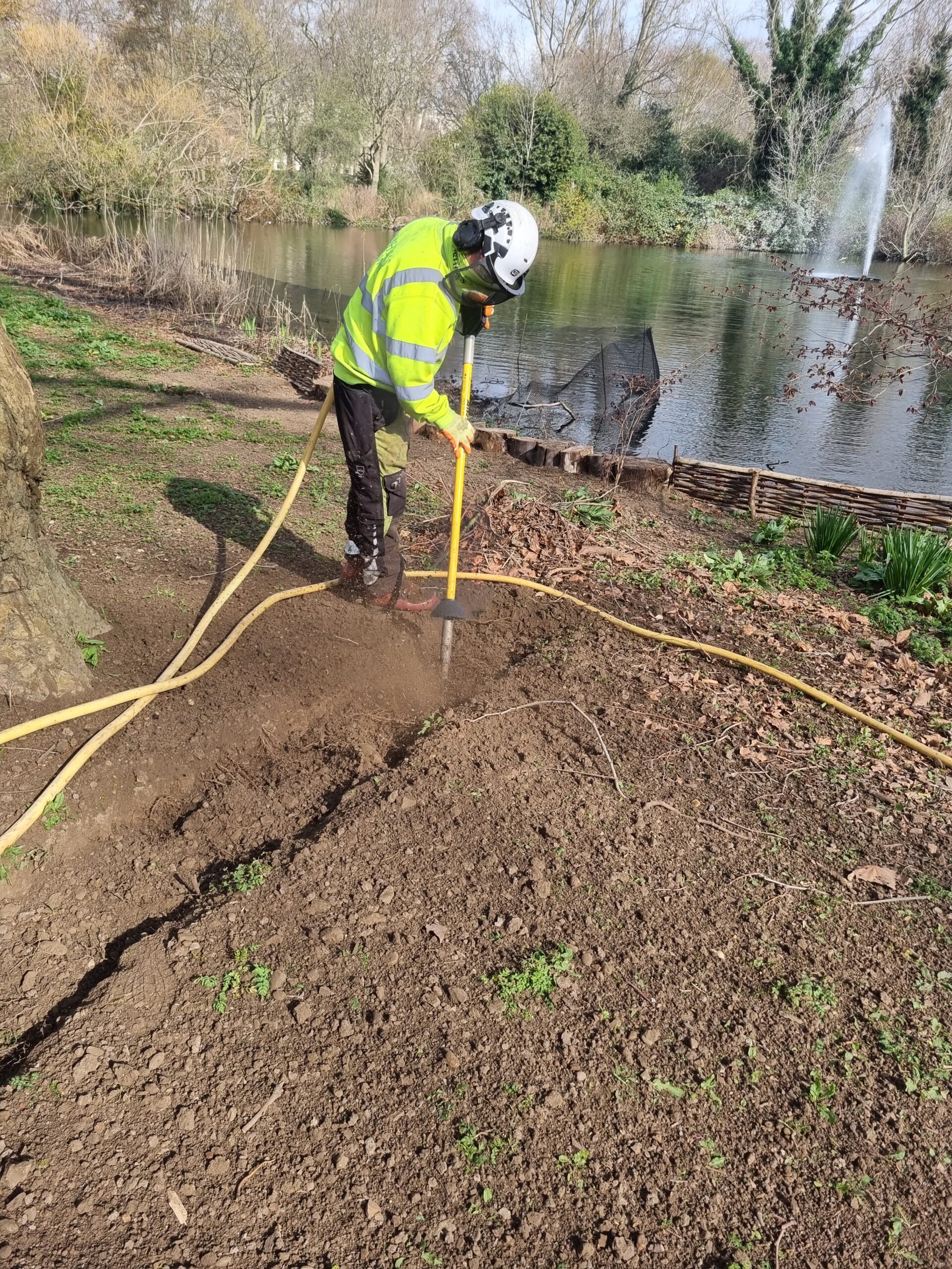 Root Surveys