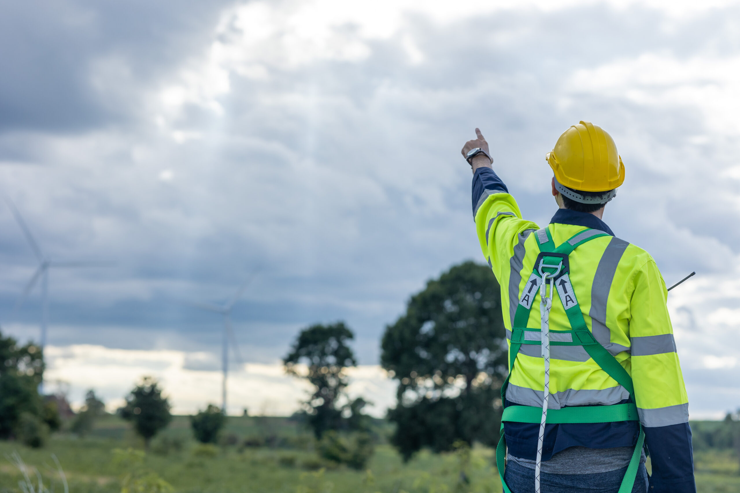 Tree Survey Inspection For Construction