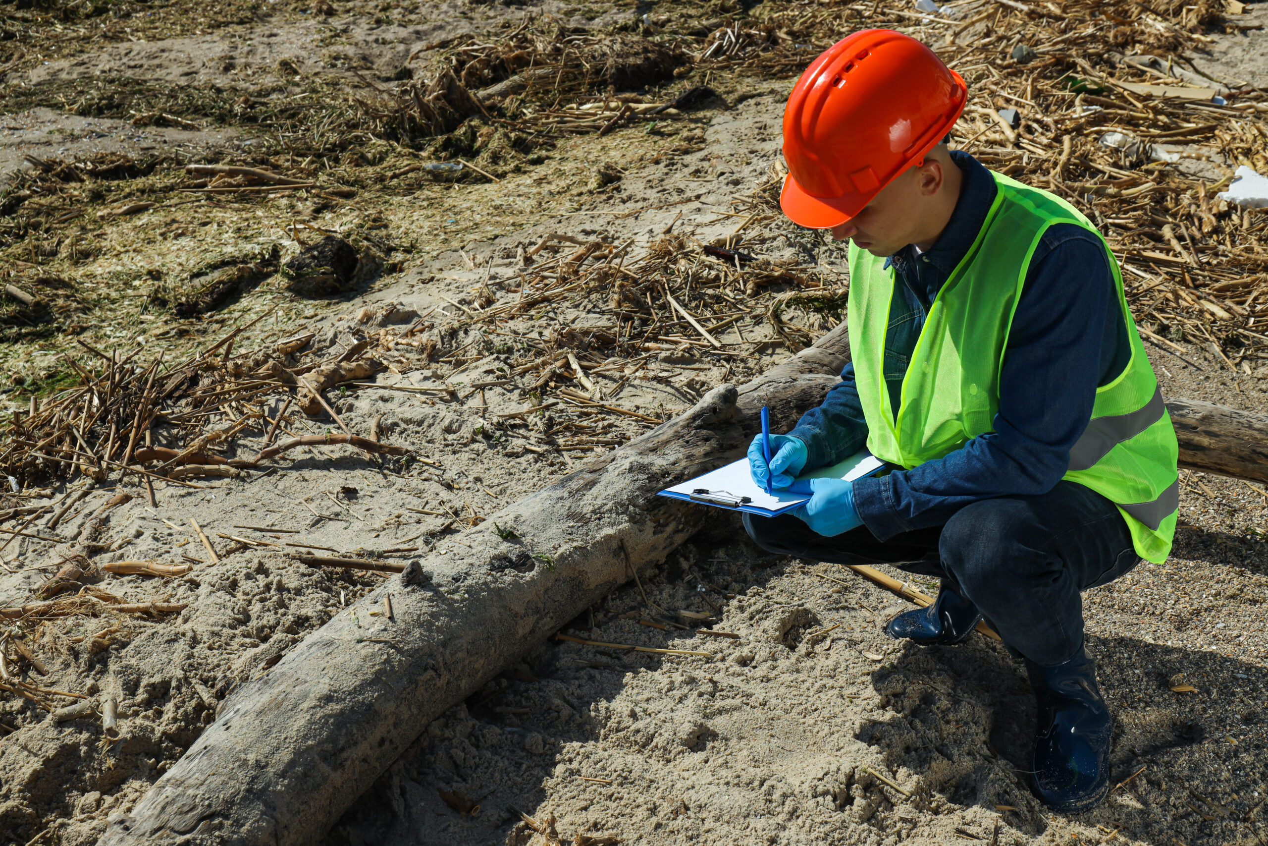 Pre-construction Tree Assessment