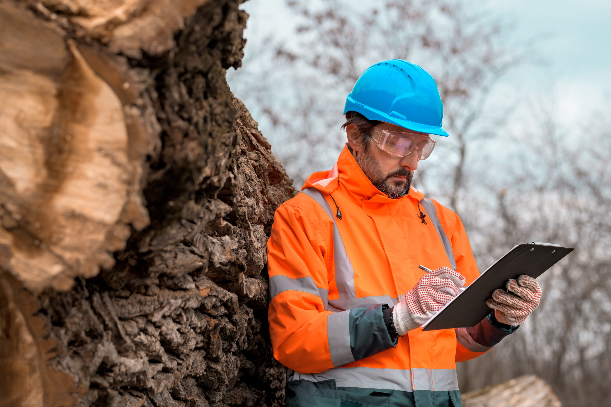 Arboricultural Consultant vs Tree Surgeon