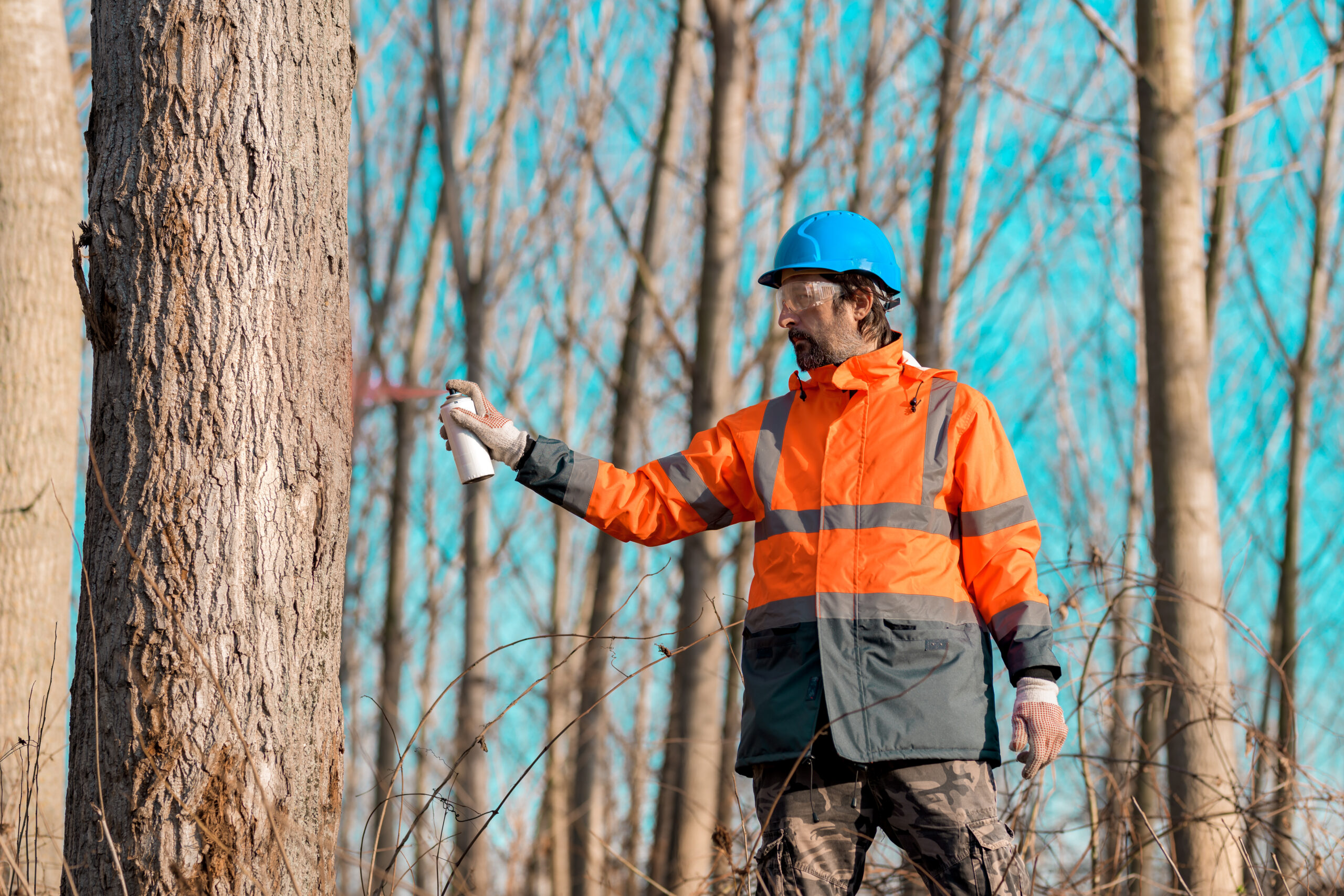 Tree Solutions by a Qualified Arboricultural Consultancy Expert You Can Trust - Man inspecting tree