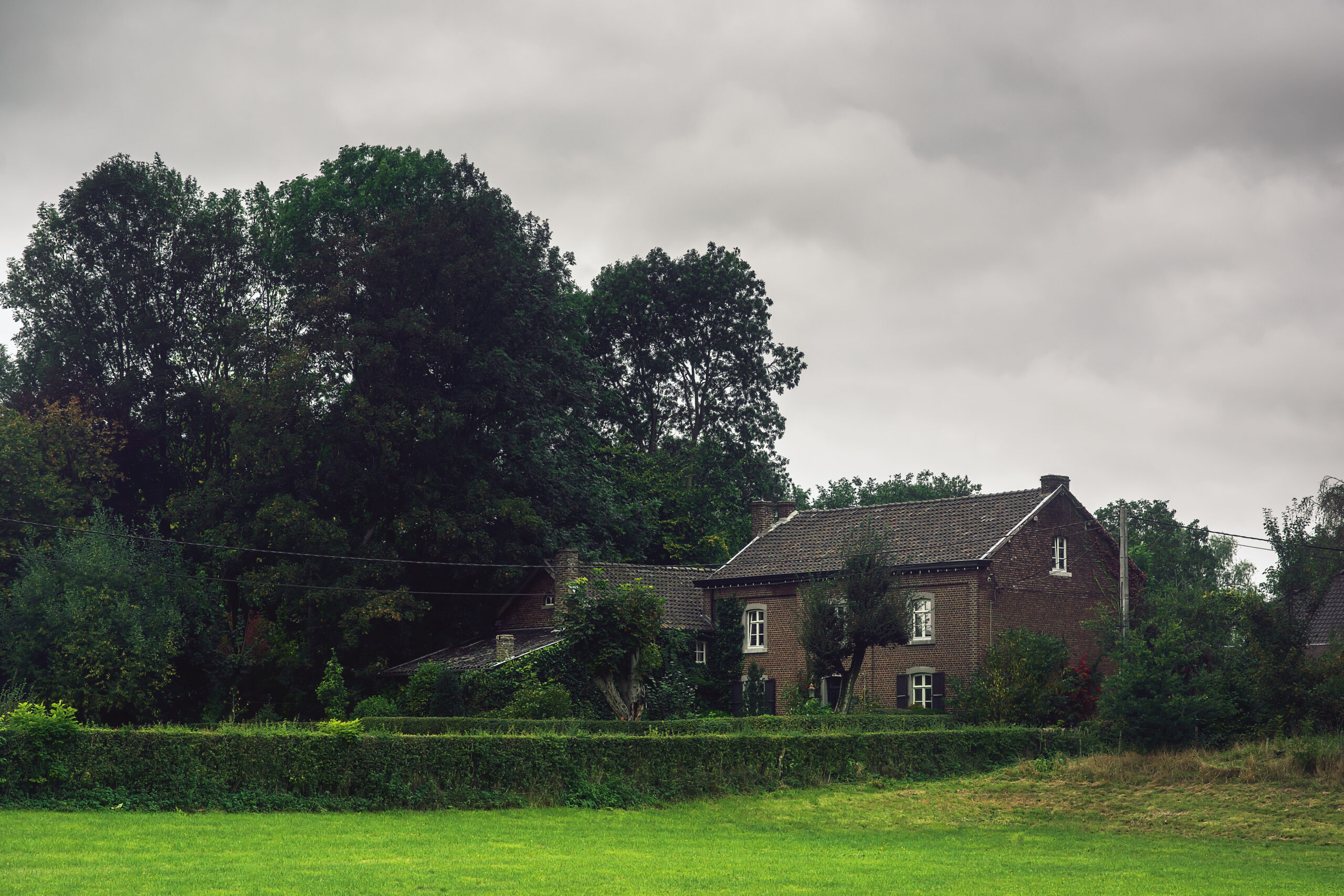 Pre-planning tree surveys Maximising Development Potential From the Outset - Grass
