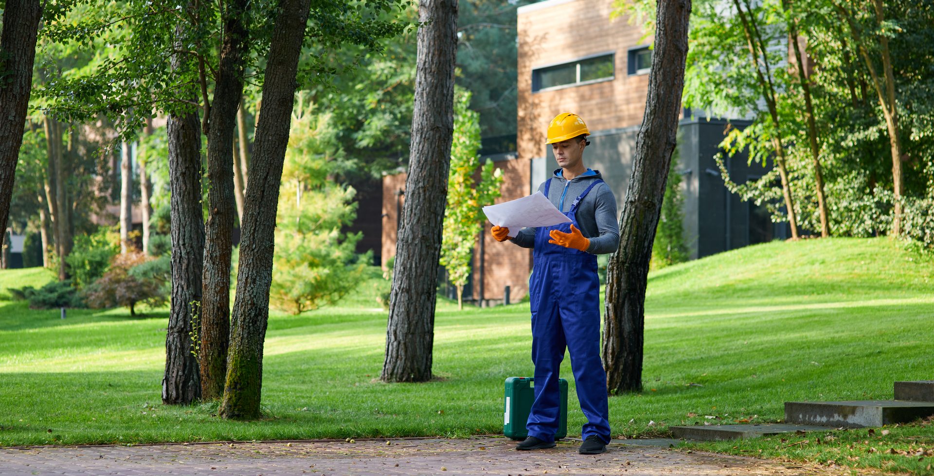 tree survey for planning application